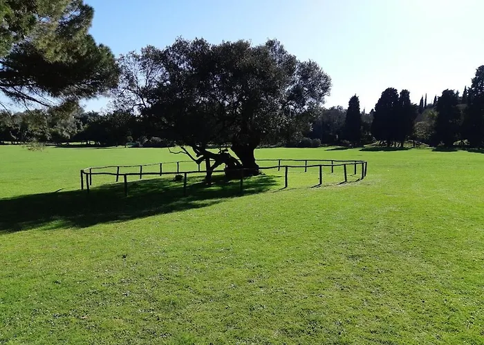 In Pula With Swimming Pool Pula